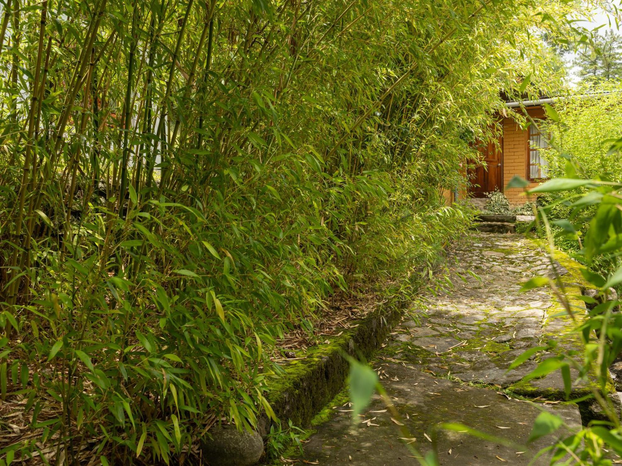 Tiger'S Nest Resort - Best Resort In Paro Εξωτερικό φωτογραφία